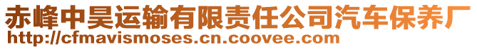 赤峰中昊運(yùn)輸有限責(zé)任公司汽車保養(yǎng)廠