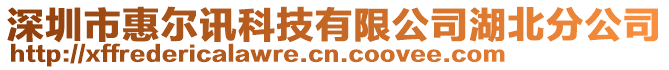 深圳市惠爾訊科技有限公司湖北分公司