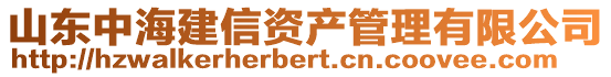山東中海建信資產(chǎn)管理有限公司