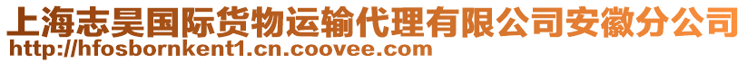 上海志昊國際貨物運輸代理有限公司安徽分公司
