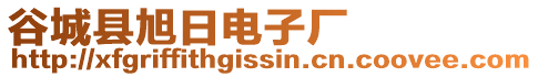 谷城縣旭日電子廠