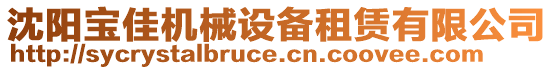 沈陽寶佳機(jī)械設(shè)備租賃有限公司