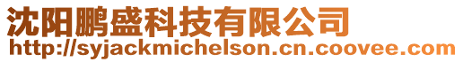 沈陽鵬盛科技有限公司
