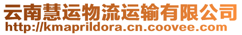 云南慧運(yùn)物流運(yùn)輸有限公司