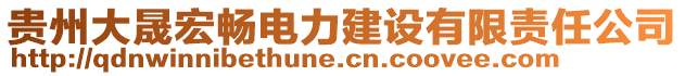 貴州大晟宏暢電力建設(shè)有限責任公司