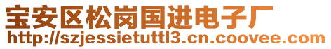 寶安區(qū)松崗國(guó)進(jìn)電子廠