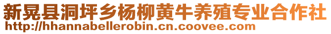 新晃縣洞坪鄉(xiāng)楊柳黃牛養(yǎng)殖專業(yè)合作社