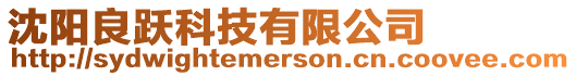 沈陽良躍科技有限公司