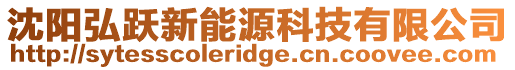 沈陽弘躍新能源科技有限公司