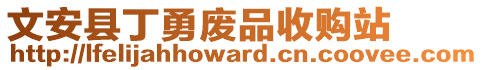 文安縣丁勇廢品收購站