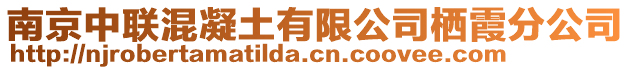 南京中聯混凝土有限公司棲霞分公司