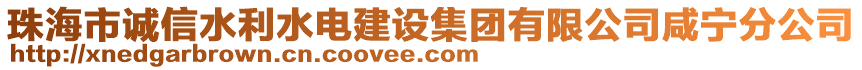 珠海市誠信水利水電建設(shè)集團(tuán)有限公司咸寧分公司