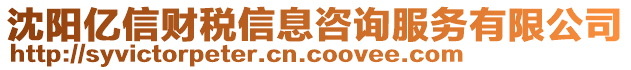 沈陽億信財稅信息咨詢服務有限公司