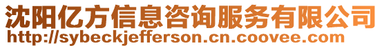 沈陽億方信息咨詢服務有限公司