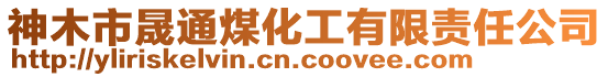 神木市晟通煤化工有限責(zé)任公司