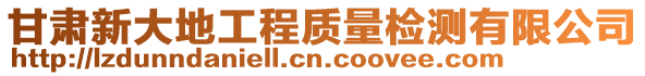 甘肅新大地工程質量檢測有限公司