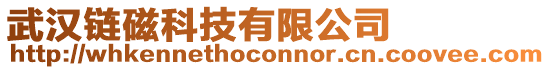 武漢鏈磁科技有限公司