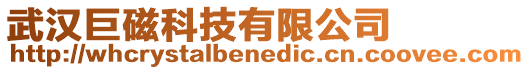武漢巨磁科技有限公司