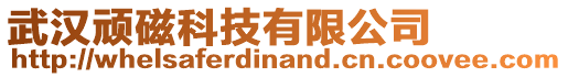 武漢頑磁科技有限公司