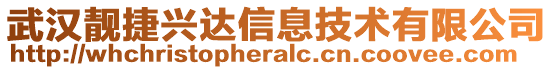 武漢靚捷興達信息技術有限公司