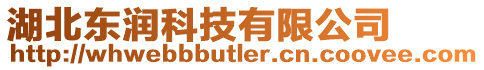 湖北東潤科技有限公司