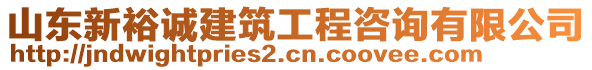 山東新裕誠(chéng)建筑工程咨詢有限公司