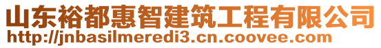 山東裕都惠智建筑工程有限公司