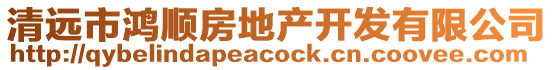 清遠(yuǎn)市鴻順?lè)康禺a(chǎn)開(kāi)發(fā)有限公司