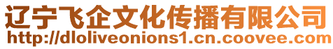 遼寧飛企文化傳播有限公司