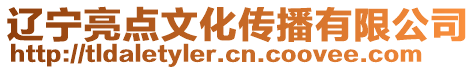 遼寧亮點(diǎn)文化傳播有限公司