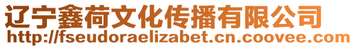 辽宁鑫荷文化传播有限公司