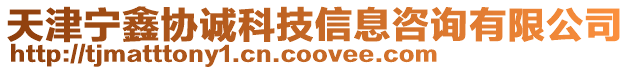 天津?qū)庼螀f(xié)誠(chéng)科技信息咨詢有限公司