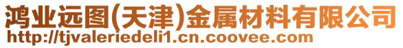 鴻業(yè)遠(yuǎn)圖(天津)金屬材料有限公司