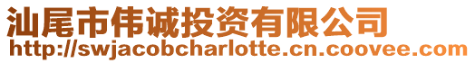 汕尾市偉誠投資有限公司