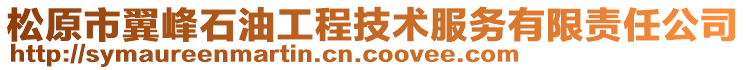 松原市翼峰石油工程技術(shù)服務(wù)有限責(zé)任公司