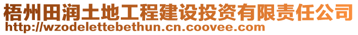 梧州田潤土地工程建設(shè)投資有限責任公司