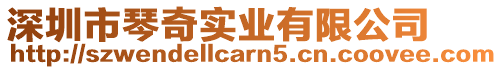 深圳市琴奇實業有限公司