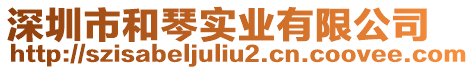 深圳市和琴實業有限公司