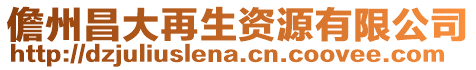 儋州昌大再生資源有限公司