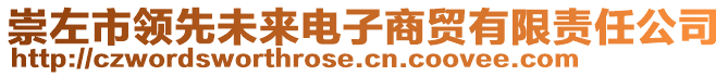 崇左市領先未來電子商貿有限責任公司