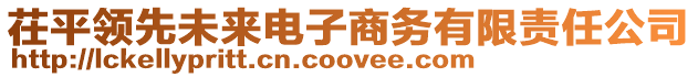 茌平領(lǐng)先未來電子商務(wù)有限責(zé)任公司