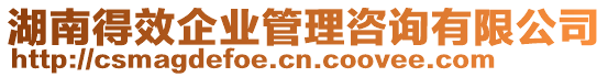 湖南得效企業管理咨詢有限公司
