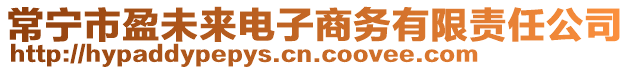 常寧市盈未來電子商務(wù)有限責(zé)任公司