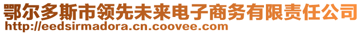 鄂爾多斯市領(lǐng)先未來電子商務(wù)有限責(zé)任公司