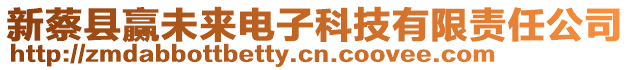 新蔡縣贏未來電子科技有限責任公司