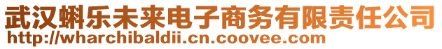 武漢蝌樂未來電子商務(wù)有限責(zé)任公司