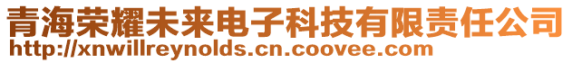 青海榮耀未來電子科技有限責(zé)任公司