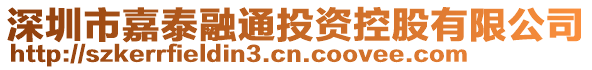 深圳市嘉泰融通投資控股有限公司