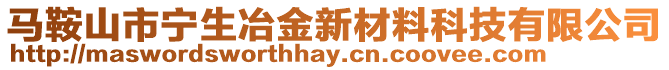 馬鞍山市寧生冶金新材料科技有限公司