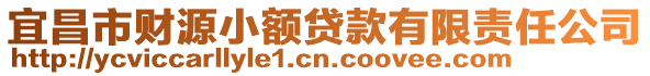 宜昌市財(cái)源小額貸款有限責(zé)任公司